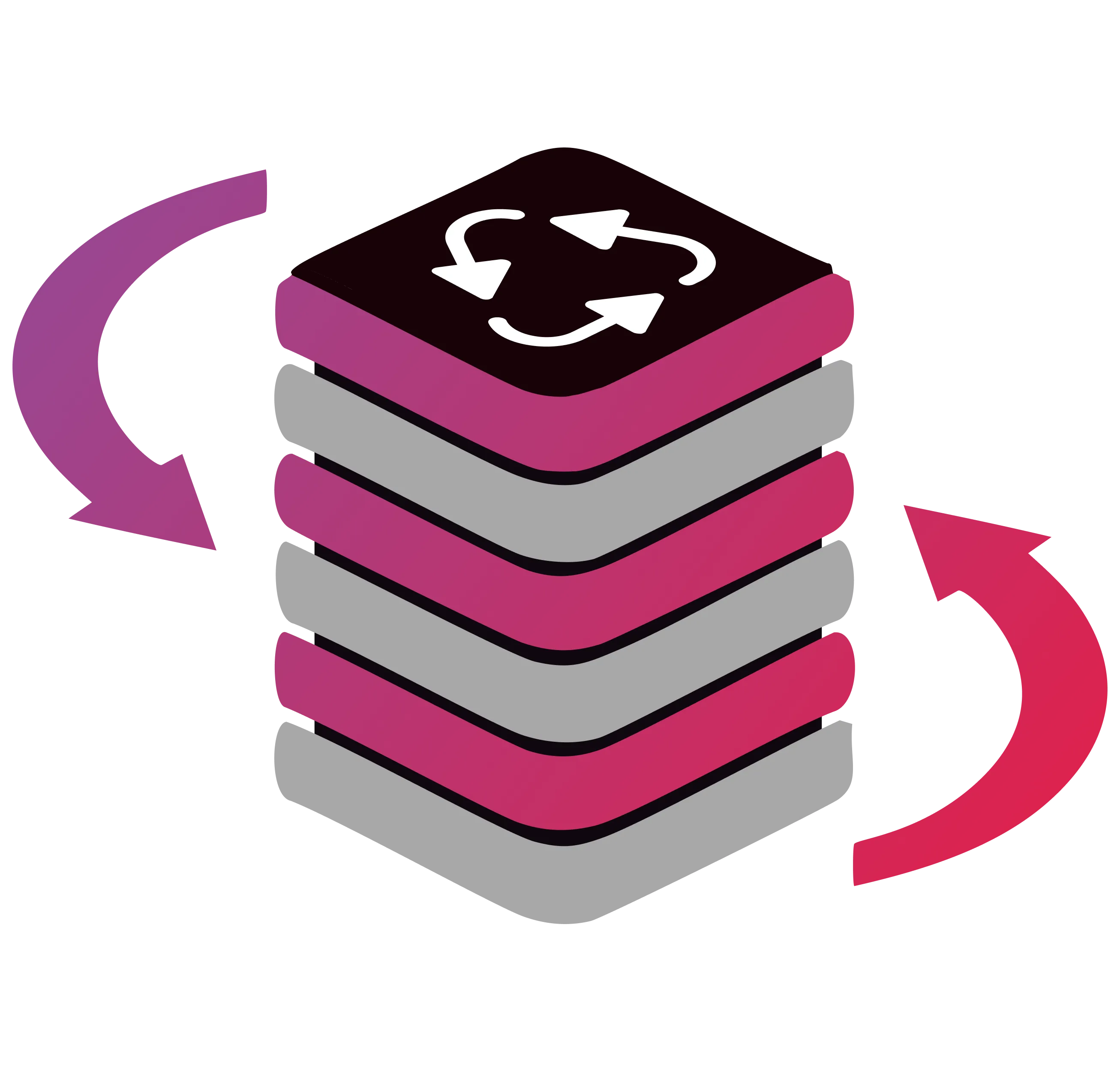 Disaster Recovery Icon